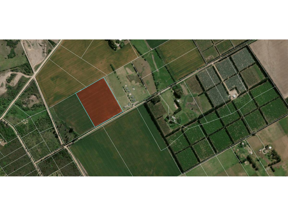 Terreno en Riachuelo, propiedad 248953 -Imagen 3