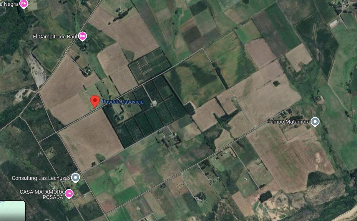 Terreno en Riachuelo, propiedad 248953 -Imagen 4