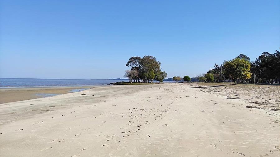 Terreno en Riachuelo, propiedad 248953 -Imagen 15