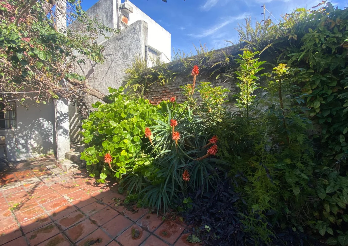 Casa en Parque Batlle, propiedad 285126 -Imagen 20