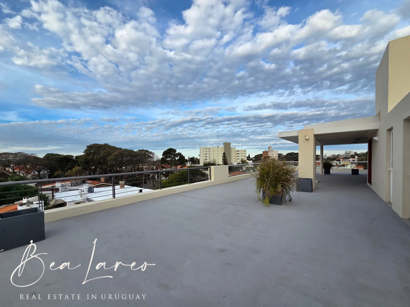Apartamento en Punta Gorda, propiedad 284736 -Imagen 49