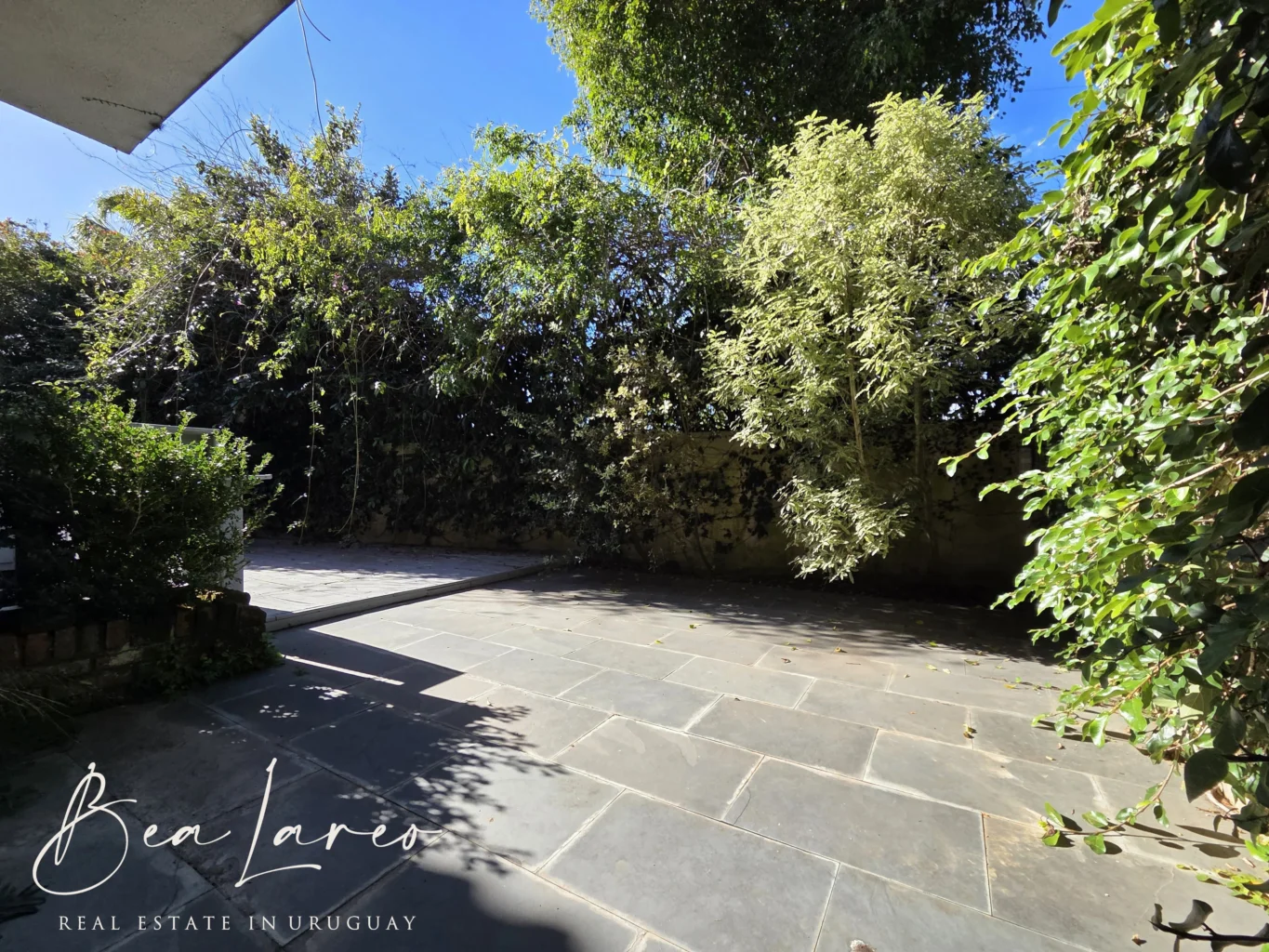 Apartamento en Carrasco, propiedad 288019 -Imagen 30