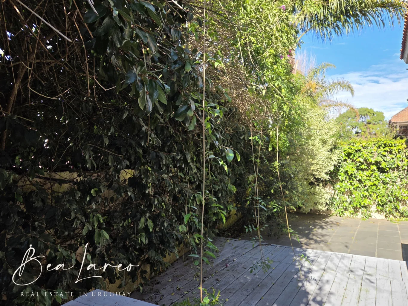 Apartamento en Carrasco, propiedad 288019 -Imagen 29