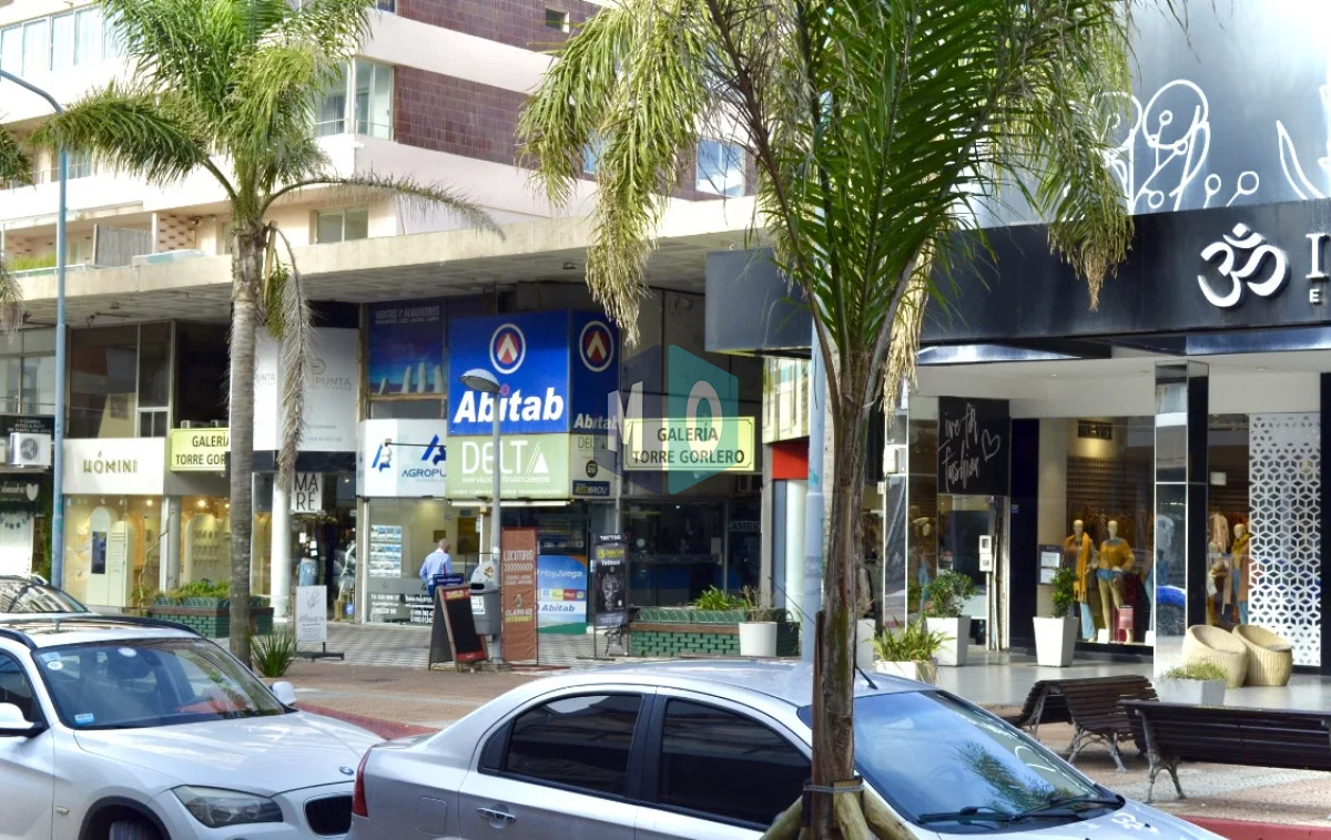 Local en Península, propiedad 128925 -Imagen 5