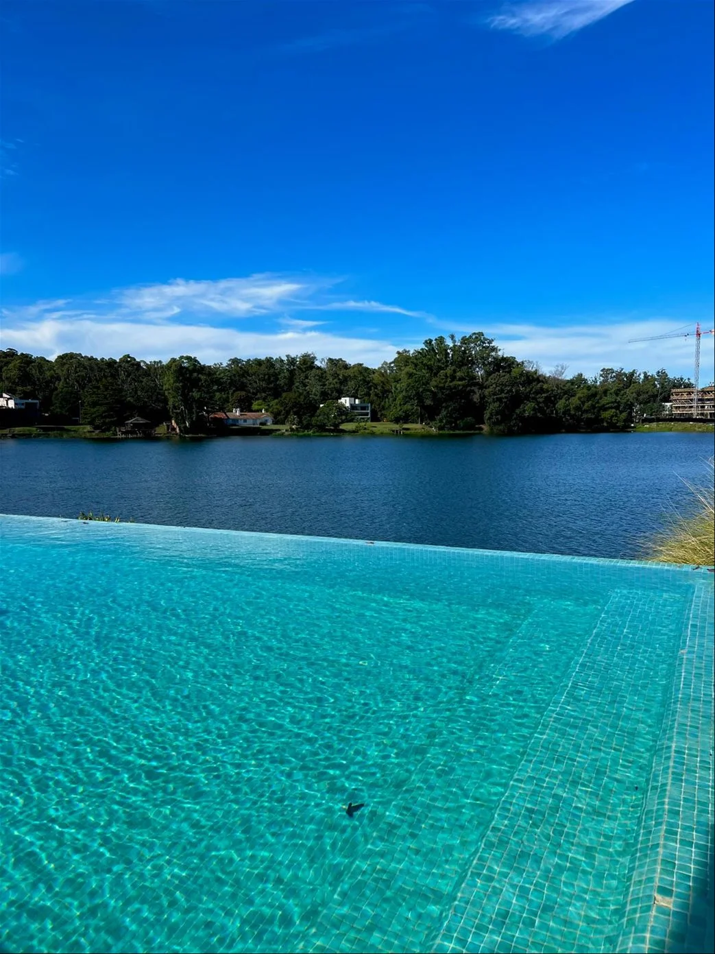 Apartamento en Parque Miramar, propiedad 286762 -Imagen 2