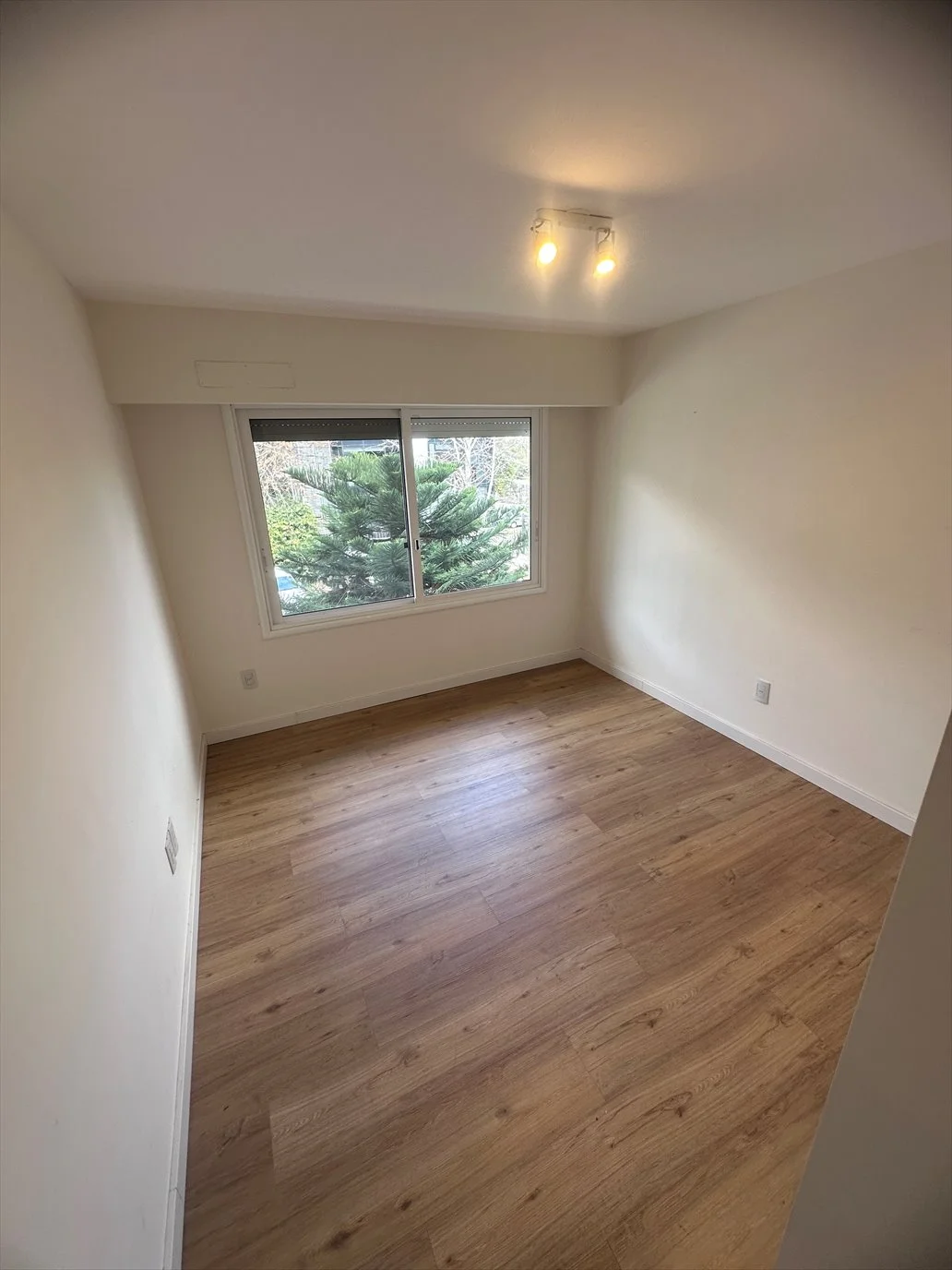 Apartamento en Parque Miramar, propiedad 286762 -Imagen 22