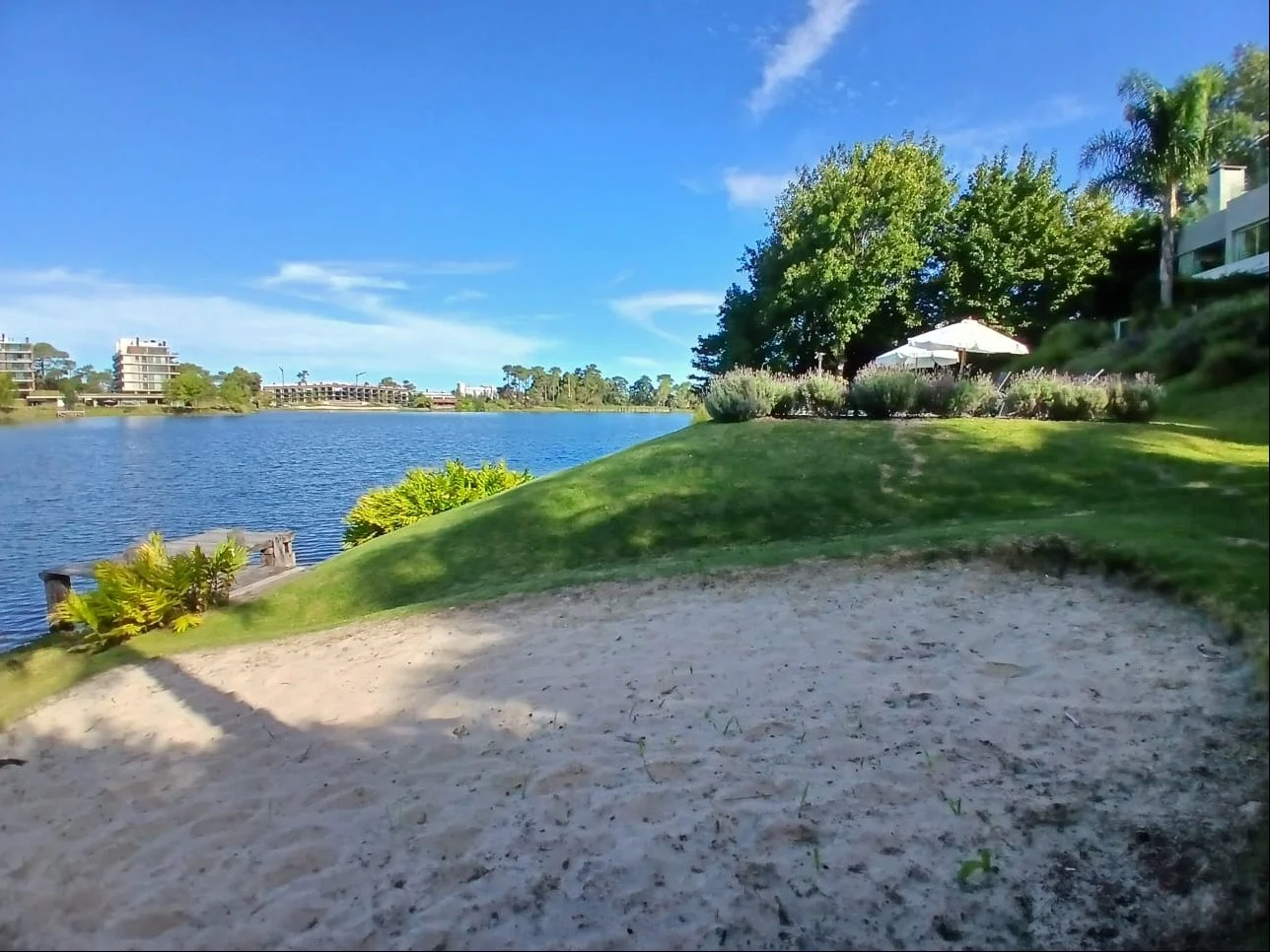 Apartamento en Parque Miramar, propiedad 286762 -Imagen 4