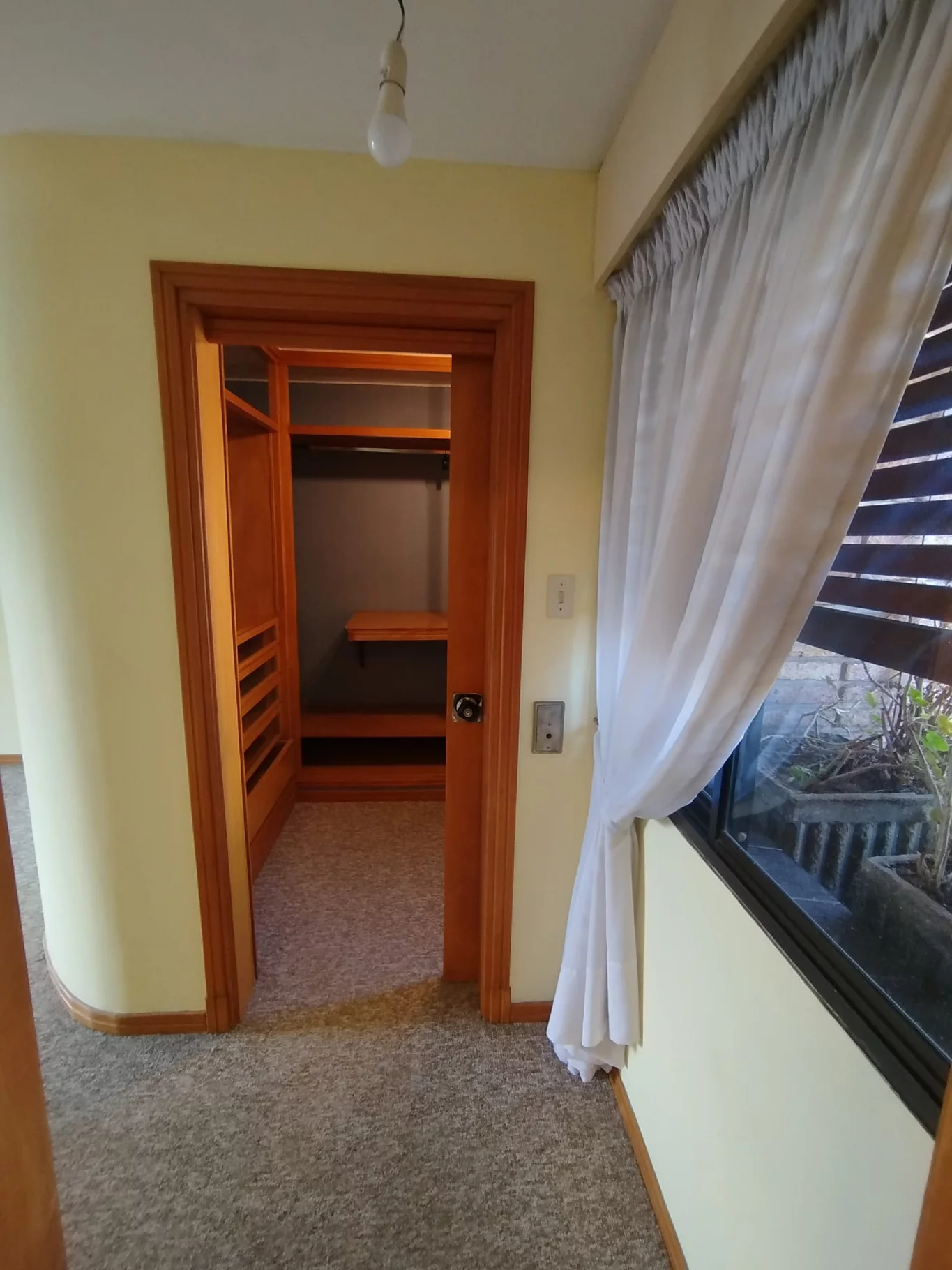 Casa en Punta Gorda, propiedad 274084 -Imagen 11