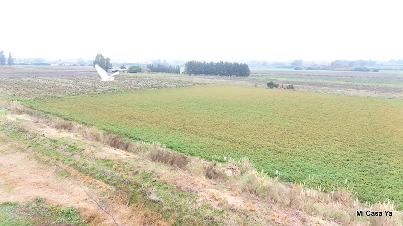 Campo en Santa Rosa, propiedad 274323 -Imagen 3