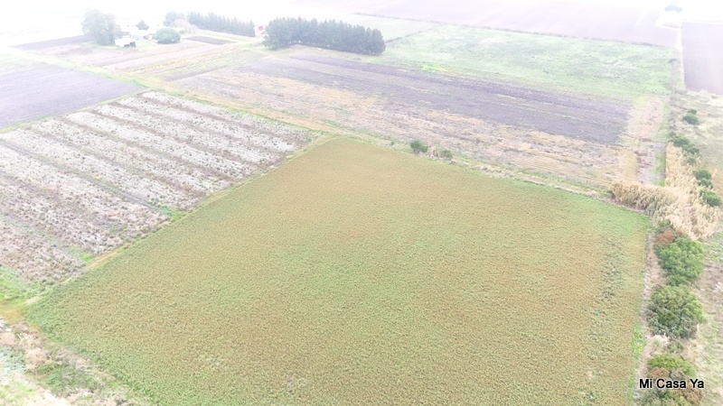 Campo en Santa Rosa, propiedad 274323 -Imagen 4