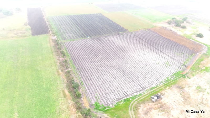Campo en Santa Rosa, propiedad 274323 -Imagen 5