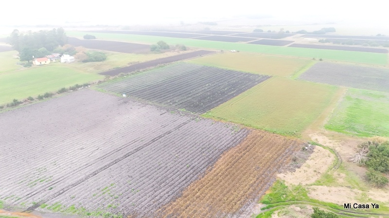 Campo en Santa Rosa, propiedad 274323 -Imagen 7