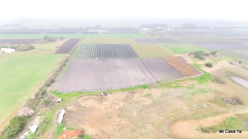 Campo en Santa Rosa, propiedad 274323 -Imagen 8