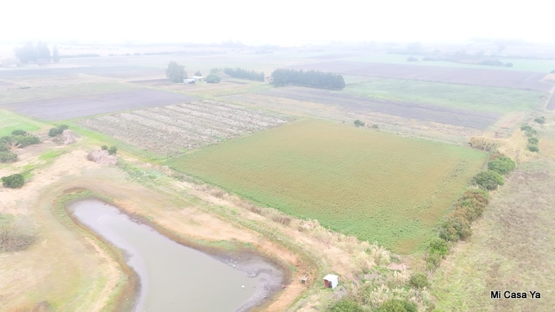 Campo en Santa Rosa, propiedad 274323 -Imagen 12