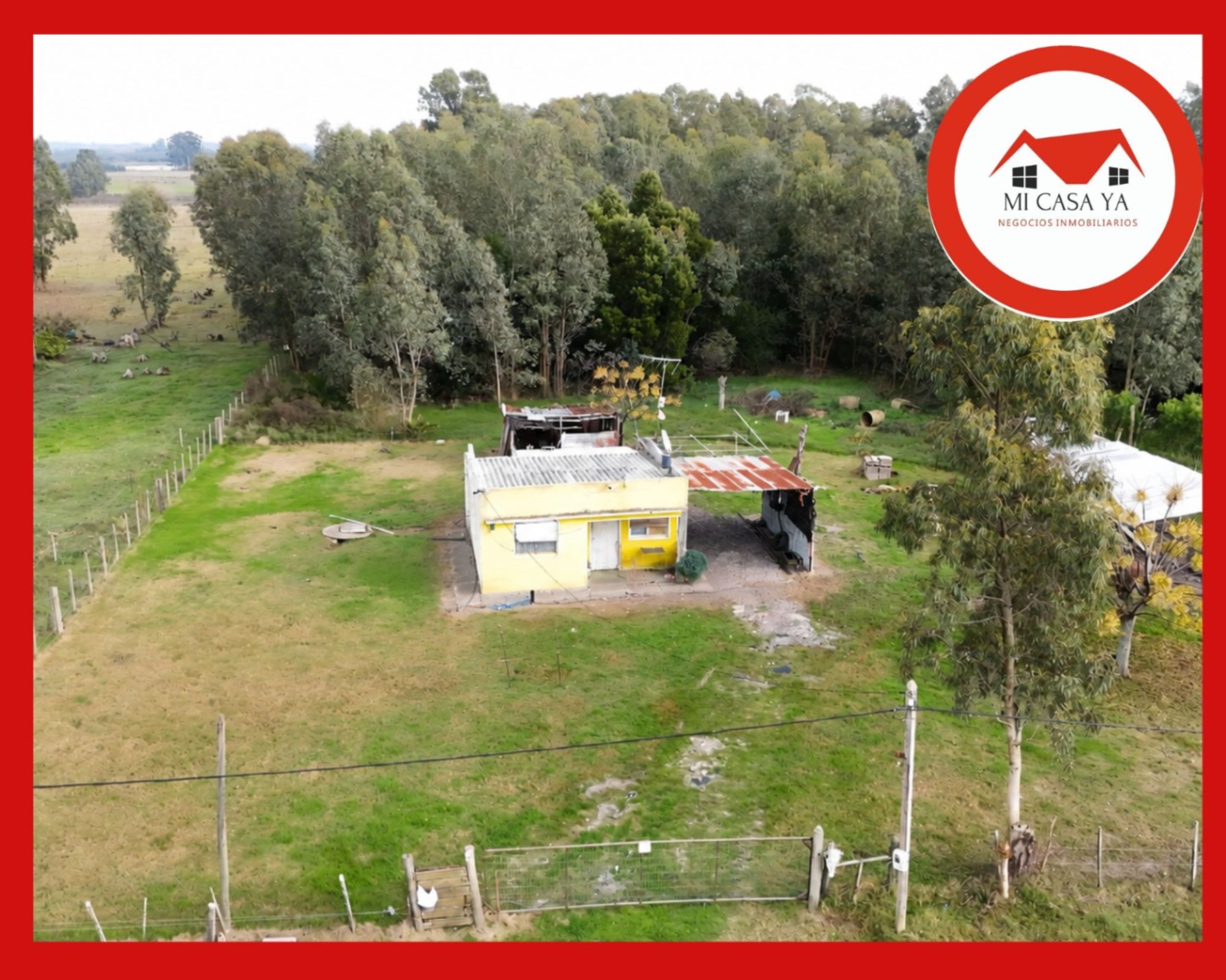 Casa en San Jacinto, propiedad 274486 -Imagen 1