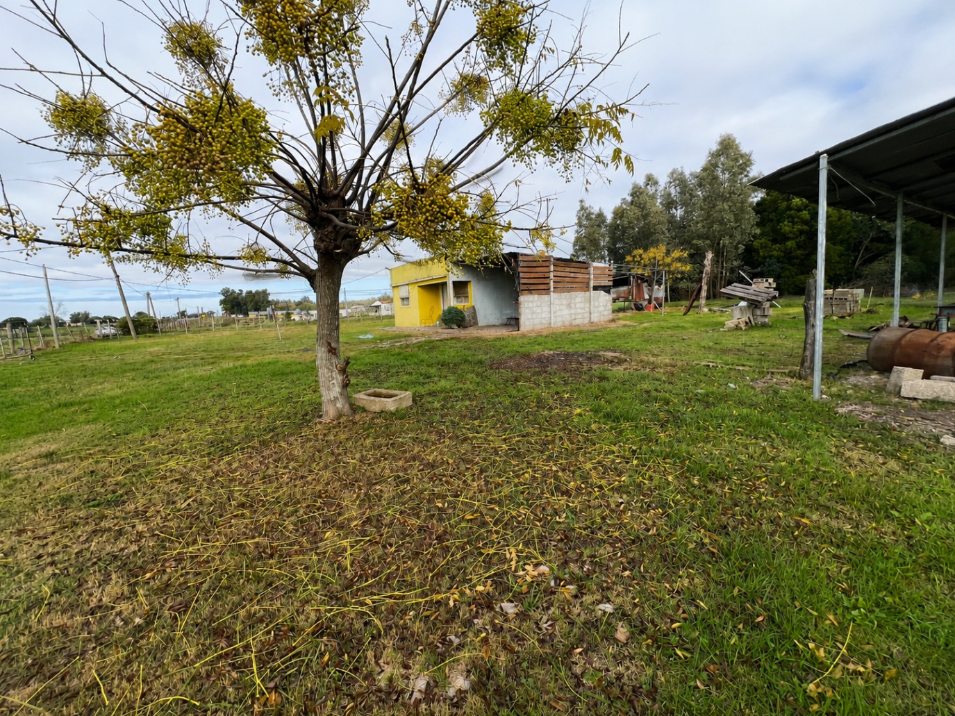 Casa en San Jacinto, propiedad 274486 -Imagen 15