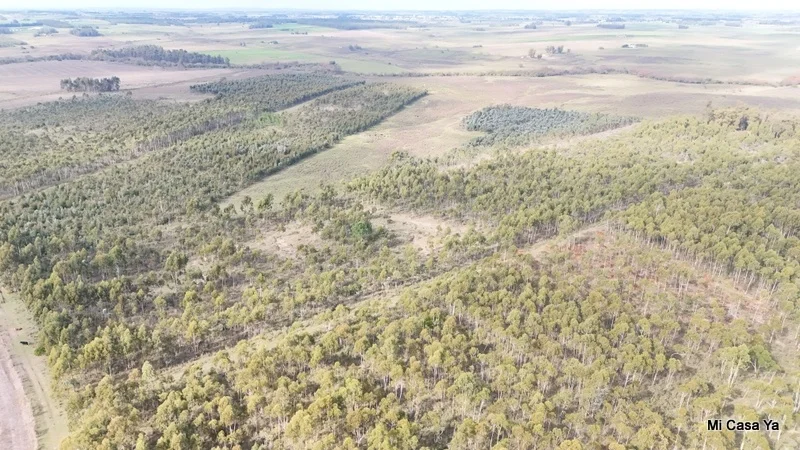 Campo en Canelones, propiedad 274495 -Imagen 2