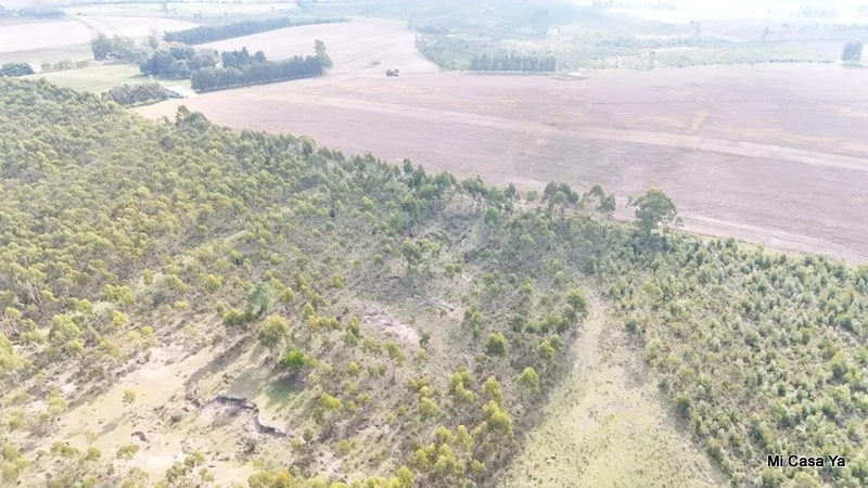 Campo en Canelones, propiedad 274495 -Imagen 11