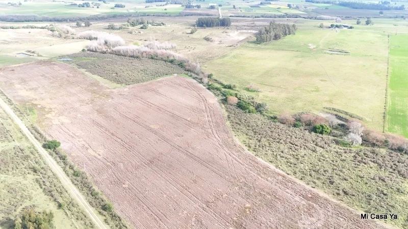 Campo en Canelones, propiedad 274495 -Imagen 12