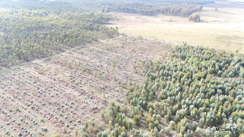 Campo en Canelones, propiedad 274495 -Imagen 13