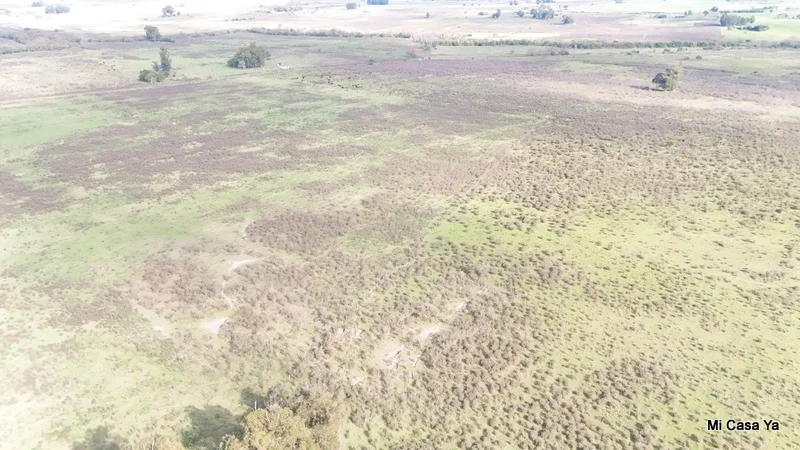 Campo en Canelones, propiedad 274495 -Imagen 14