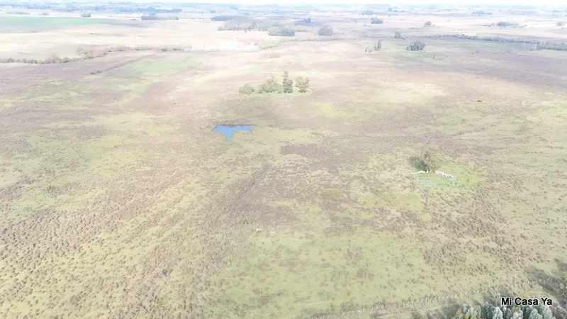 Campo en Canelones, propiedad 274495 -Imagen 16