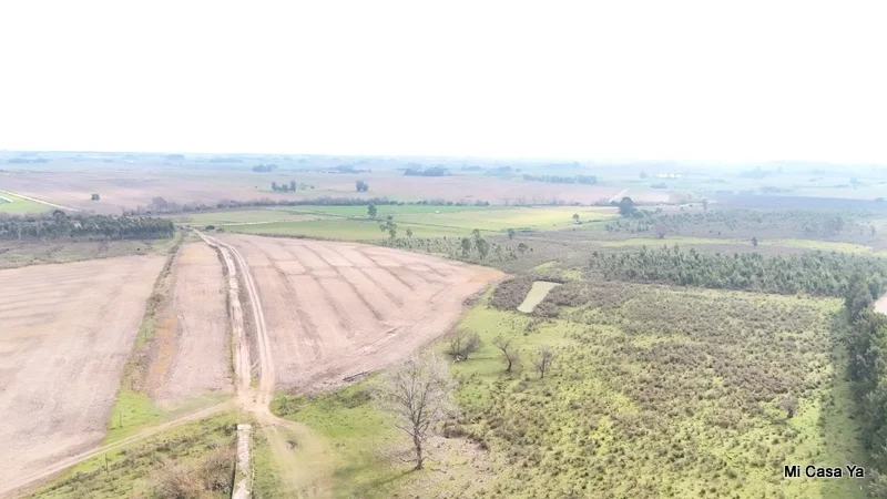 Campo en Canelones, propiedad 274495 -Imagen 17