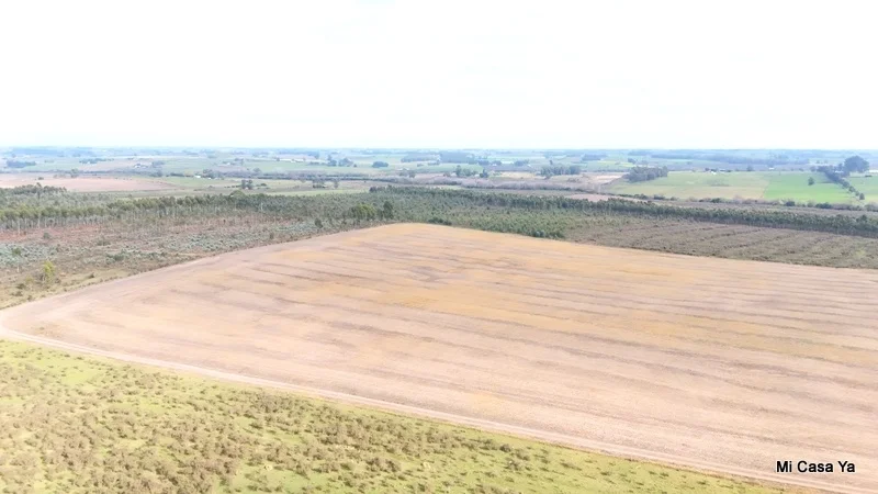 Campo en Canelones, propiedad 274495 -Imagen 18