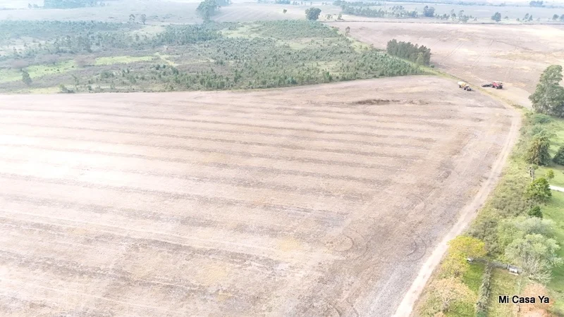 Campo en Canelones, propiedad 274495 -Imagen 19