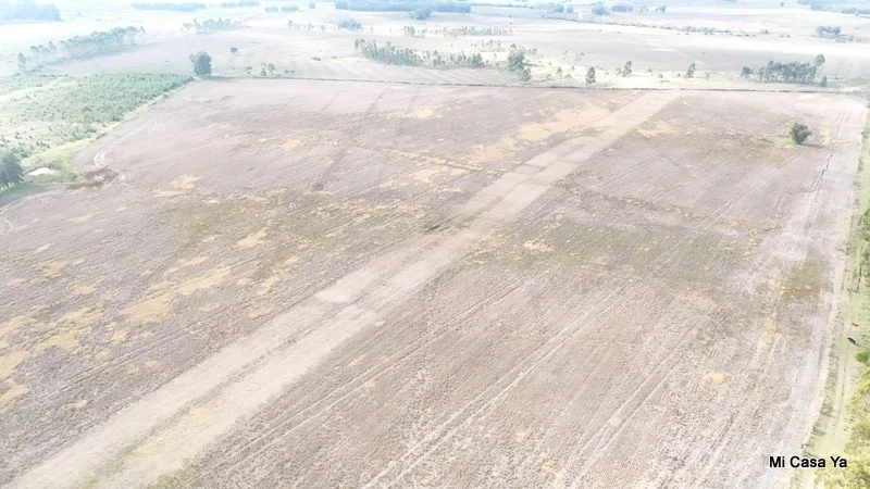 Campo en Canelones, propiedad 274495 -Imagen 20