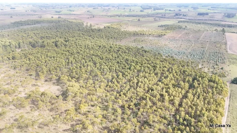Campo en Canelones, propiedad 274495 -Imagen 3