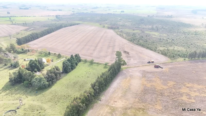 Campo en Canelones, propiedad 274495 -Imagen 21
