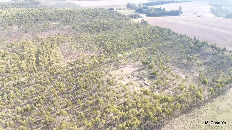 Campo en Canelones, propiedad 274495 -Imagen 4