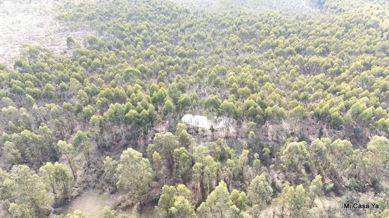 Campo en Canelones, propiedad 274495 -Imagen 5