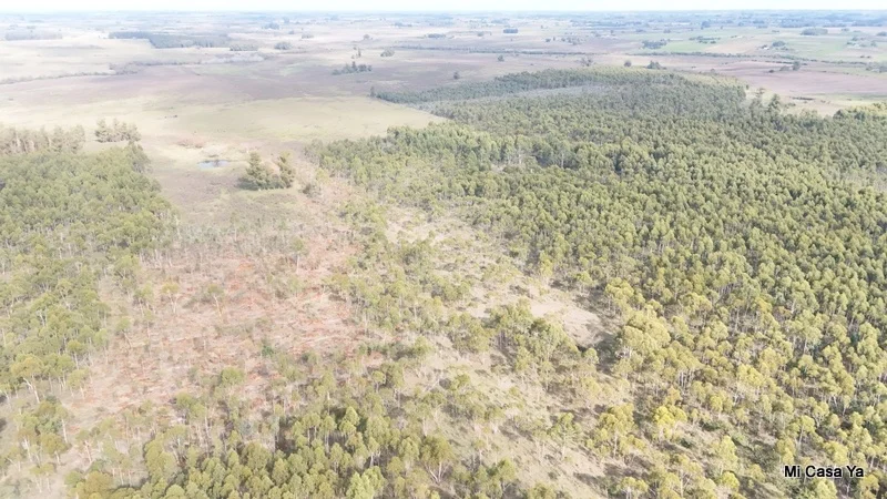 Campo en Canelones, propiedad 274495 -Imagen 6