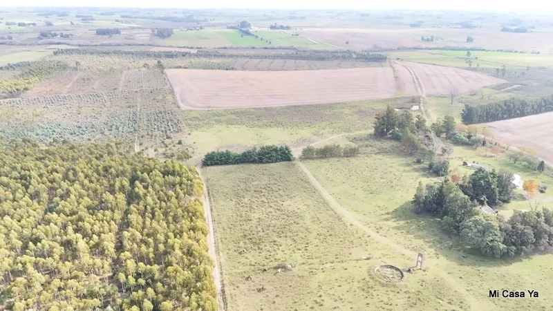Campo en Canelones, propiedad 274495 -Imagen 8