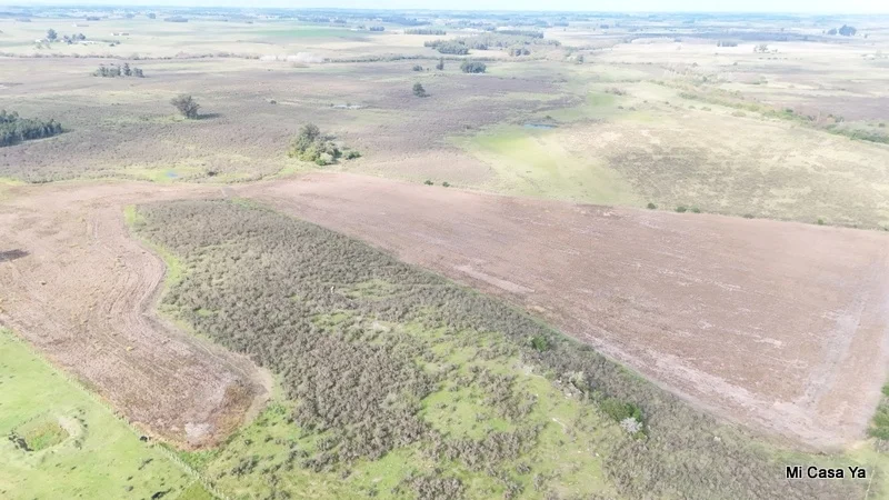 Campo en Canelones, propiedad 274495 -Imagen 9