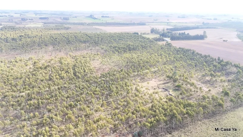 Campo en Canelones, propiedad 274495 -Imagen 10