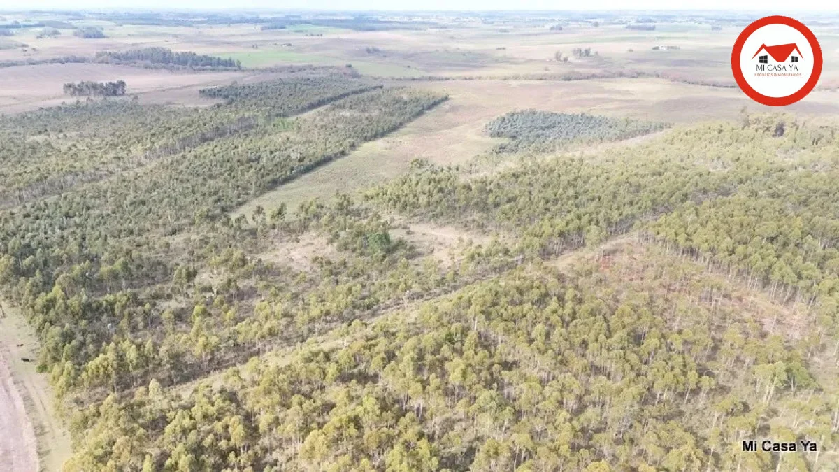 Campo en Punta del Este, propiedad 286740 -Imagen 2