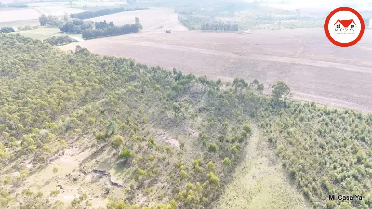 Campo en Punta del Este, propiedad 286740 -Imagen 11
