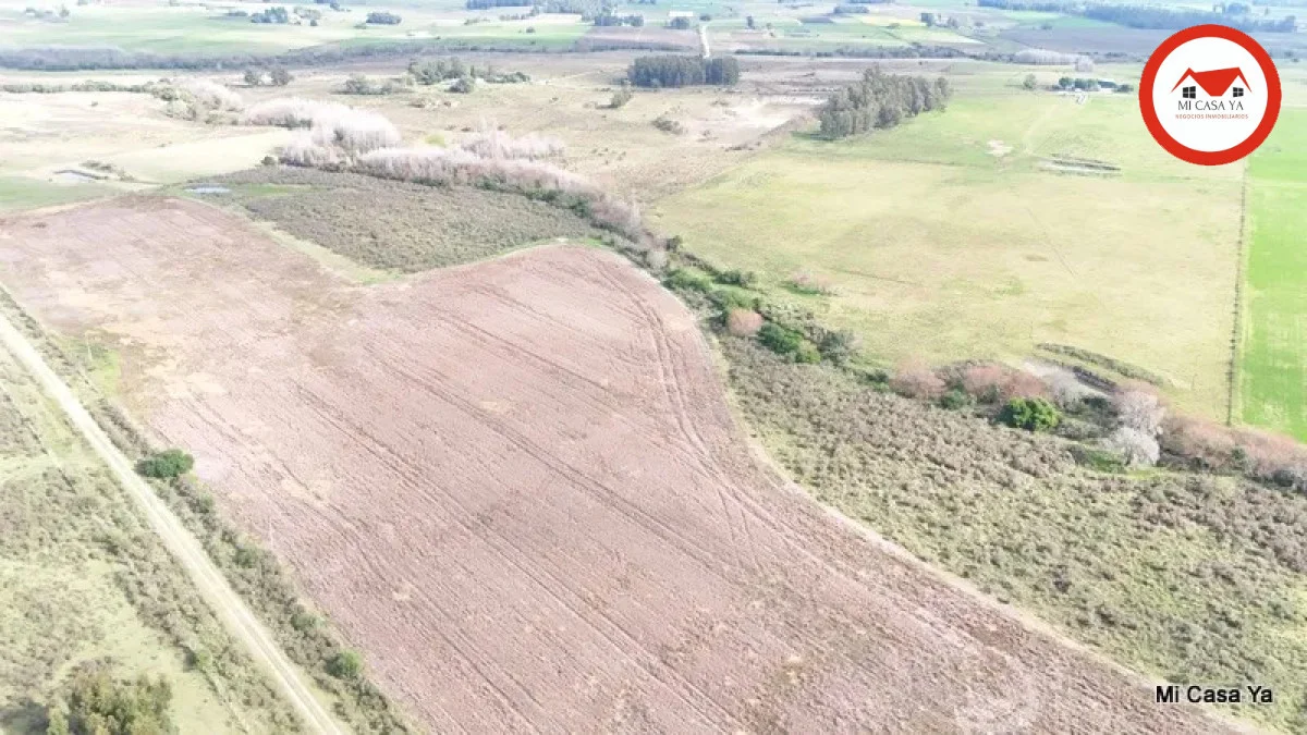 Campo en Punta del Este, propiedad 286740 -Imagen 12