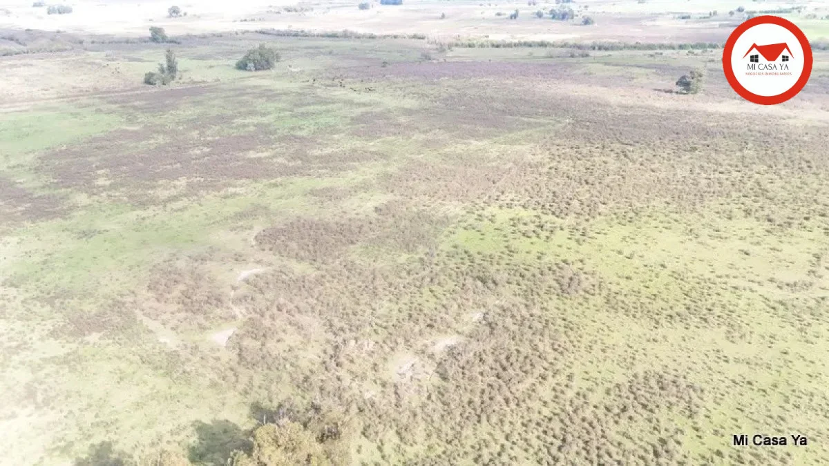 Campo en Punta del Este, propiedad 286740 -Imagen 14