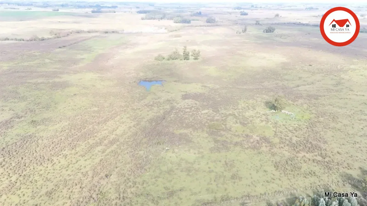 Campo en Punta del Este, propiedad 286740 -Imagen 16