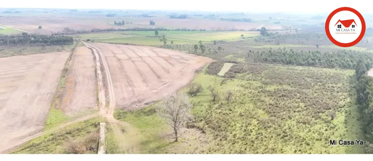 Campo en Punta del Este, propiedad 286740 -Imagen 17