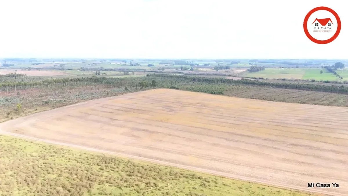 Campo en Punta del Este, propiedad 286740 -Imagen 18