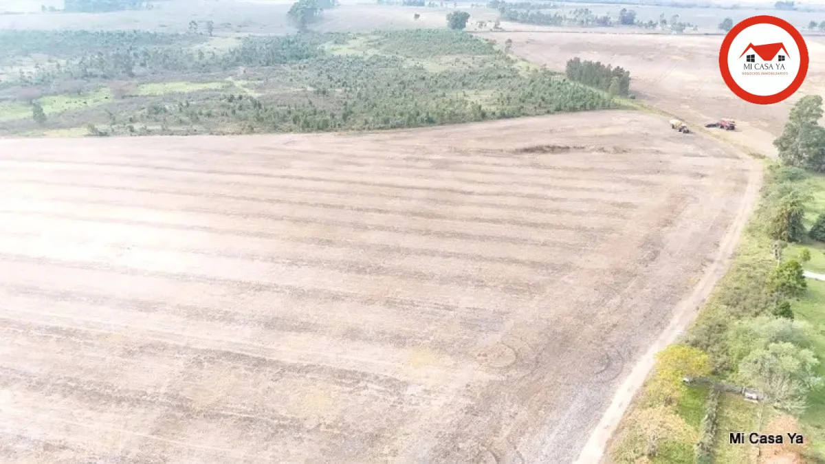 Campo en Punta del Este, propiedad 286740 -Imagen 19