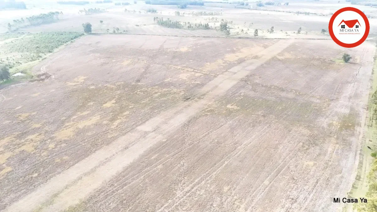 Campo en Punta del Este, propiedad 286740 -Imagen 20