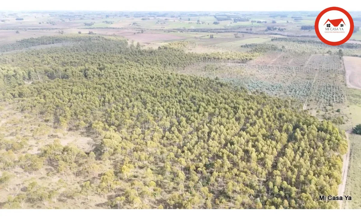 Campo en Punta del Este, propiedad 286740 -Imagen 3