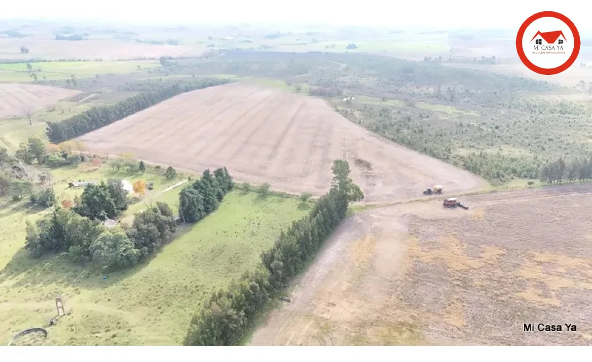 Campo en Punta del Este, propiedad 286740 -Imagen 21