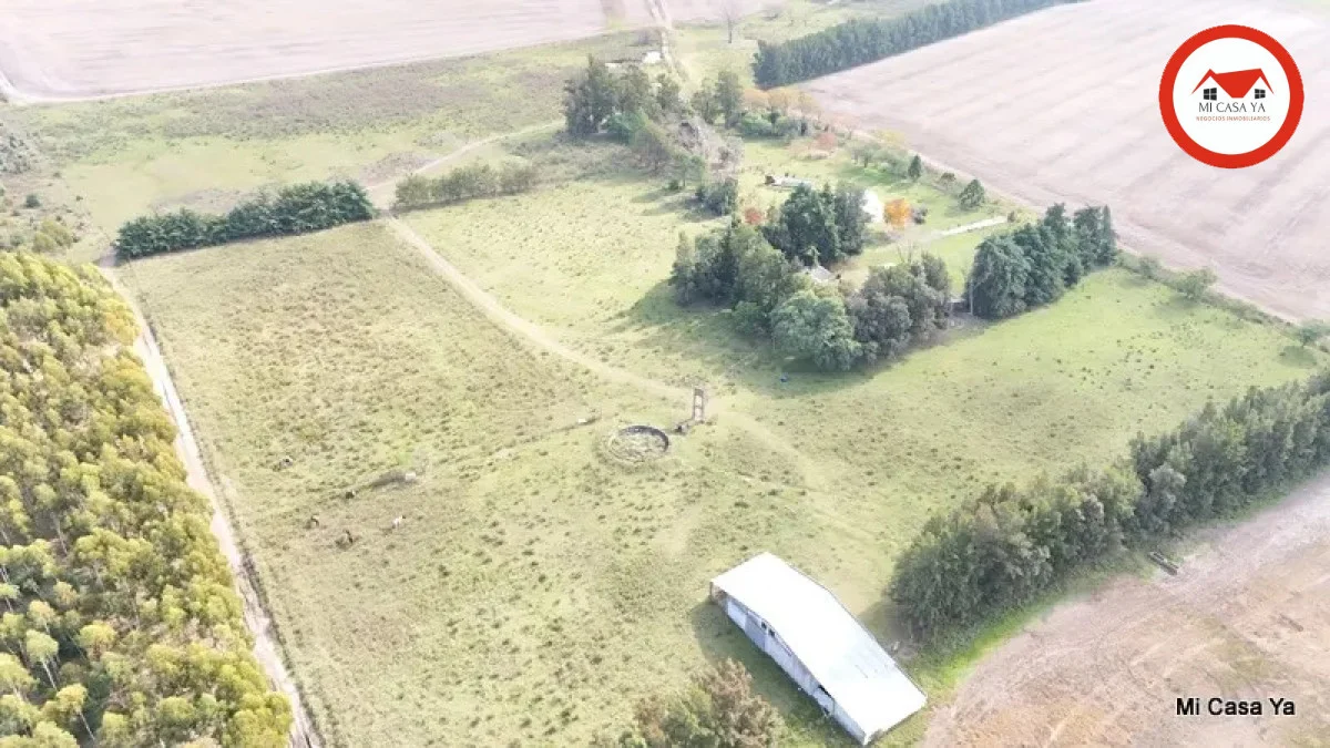Campo en Punta del Este, propiedad 286740 -Imagen 24